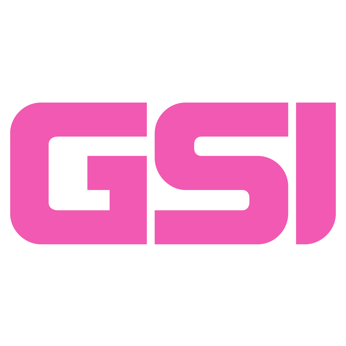 Geisel Software, Inc.